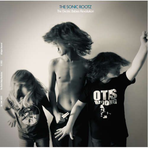 The Sonic Rootz - The Electric Babies Revolution -  Vinyl ALbum - LP